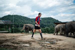 BIB: 3713, 200
                            <button type="button" onclick="openModal(22423424)" class="btn btn-primary btn-sm float-right btn-popup" data-toggle="modal" data-target=".modal-high-quality">
                        <i class="fas fa-shopping-cart"></i> Add to Cart
                    </button>
                                            <button type="button" onclick="isThisMe(22423424, true)" class="btn btn-success btn-sm float-right btn-popup btn-isme hidden" data-toggle="tooltip" data-placement="bottom" title="นี่คือรูปของคุณใช่ไหม คลิกที่นี่เพื่อเอาเข้าอัลบั้ม">
                        <i class="fas fa-plus"></i> Add to album
                    </button>
                    <button type="button" onclick="isThisMe(22423424, false)" class="btn btn-warning btn-sm float-right btn-popup btn-isnotme hidden">
                        <i class="fas fa-ban"></i> Remove from album
                    </button>